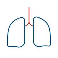 Wired outline of lungs