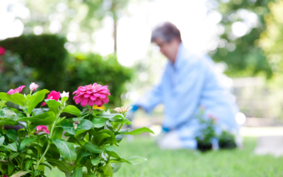 Gardening for Seniors: Benefits, Safety Tips & Easy Ideas to Stay Active