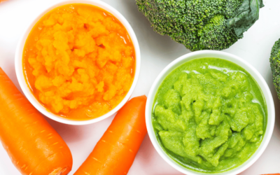 Creating Appetizing Pureed Foods for Seniors