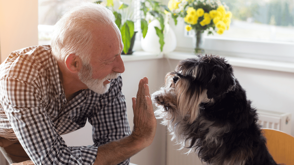 Blog Covers – 2025-03-05T135355.878 Senior man giving a high five to a dog