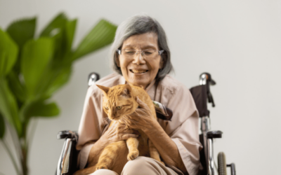 Owner Wayne Mitchell Shares Tips on Pet Ownership