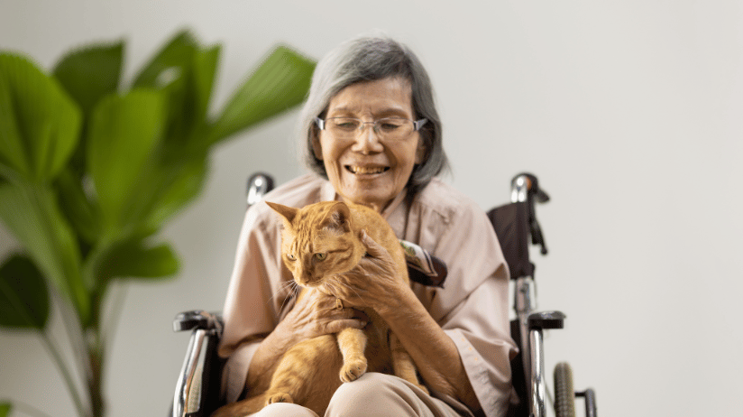 Elderly woman holding a kitten
