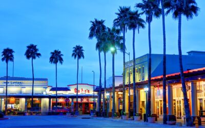 Top Activities for Seniors in Chandler