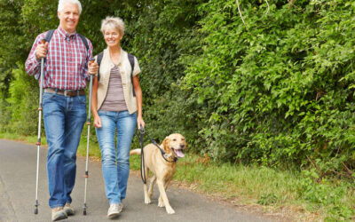 Best Walking Trails and Parks for Seniors in Hartford, TX